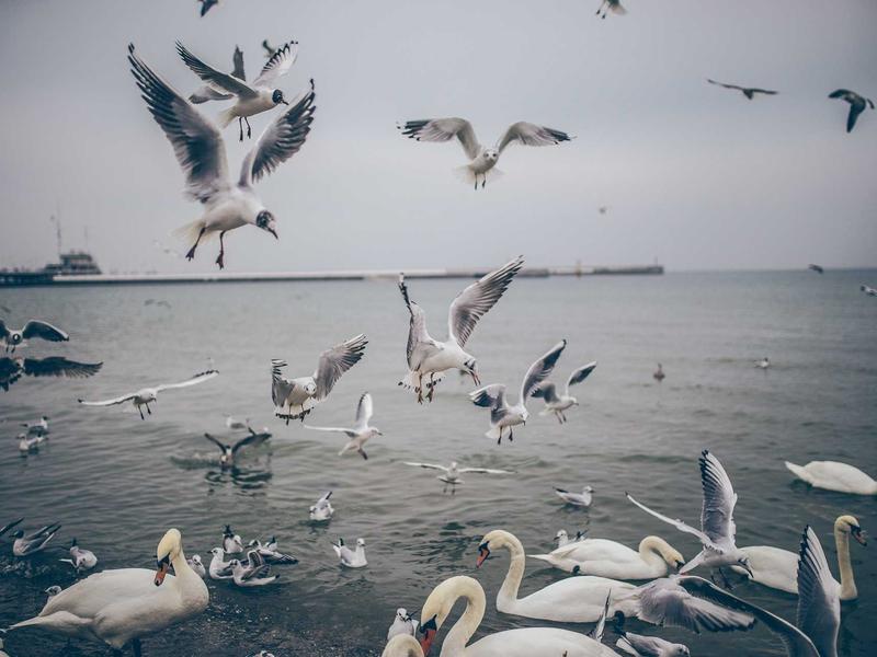 sudoku app download screenshot 1