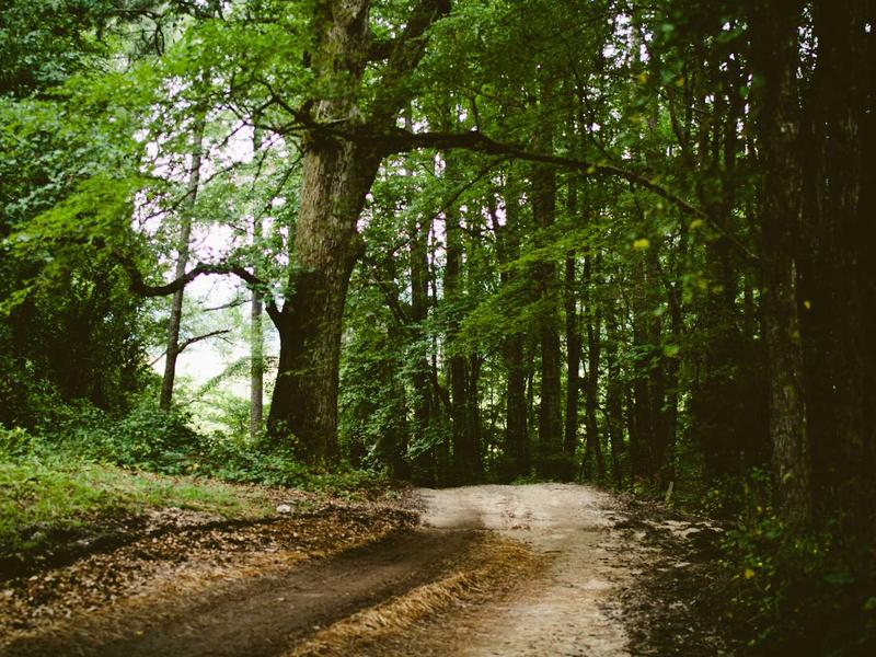 sudoku app download screenshot 6